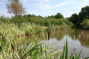 charity farm fishery|photos charity farm.